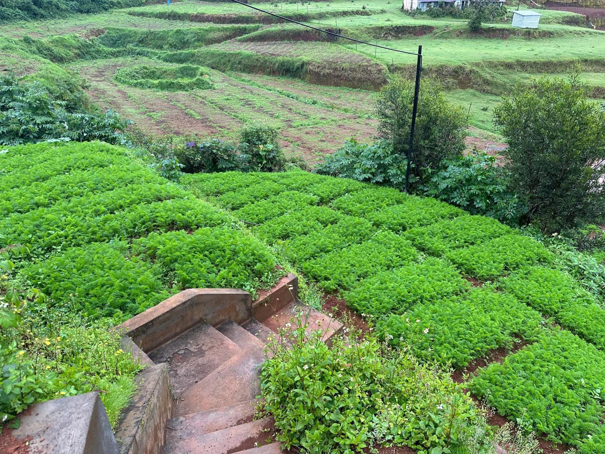 Kanjira House Ooty Exteriör bild
