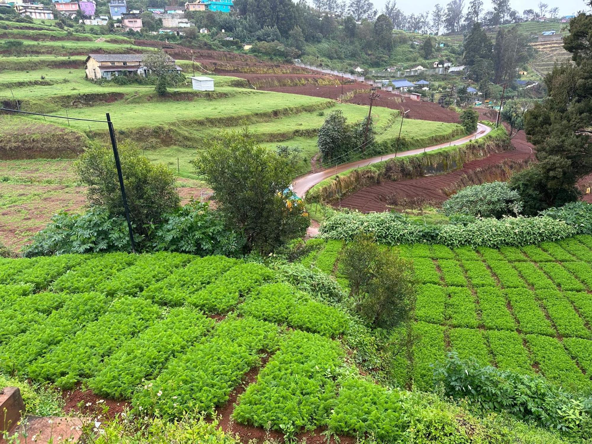 Kanjira House Ooty Exteriör bild